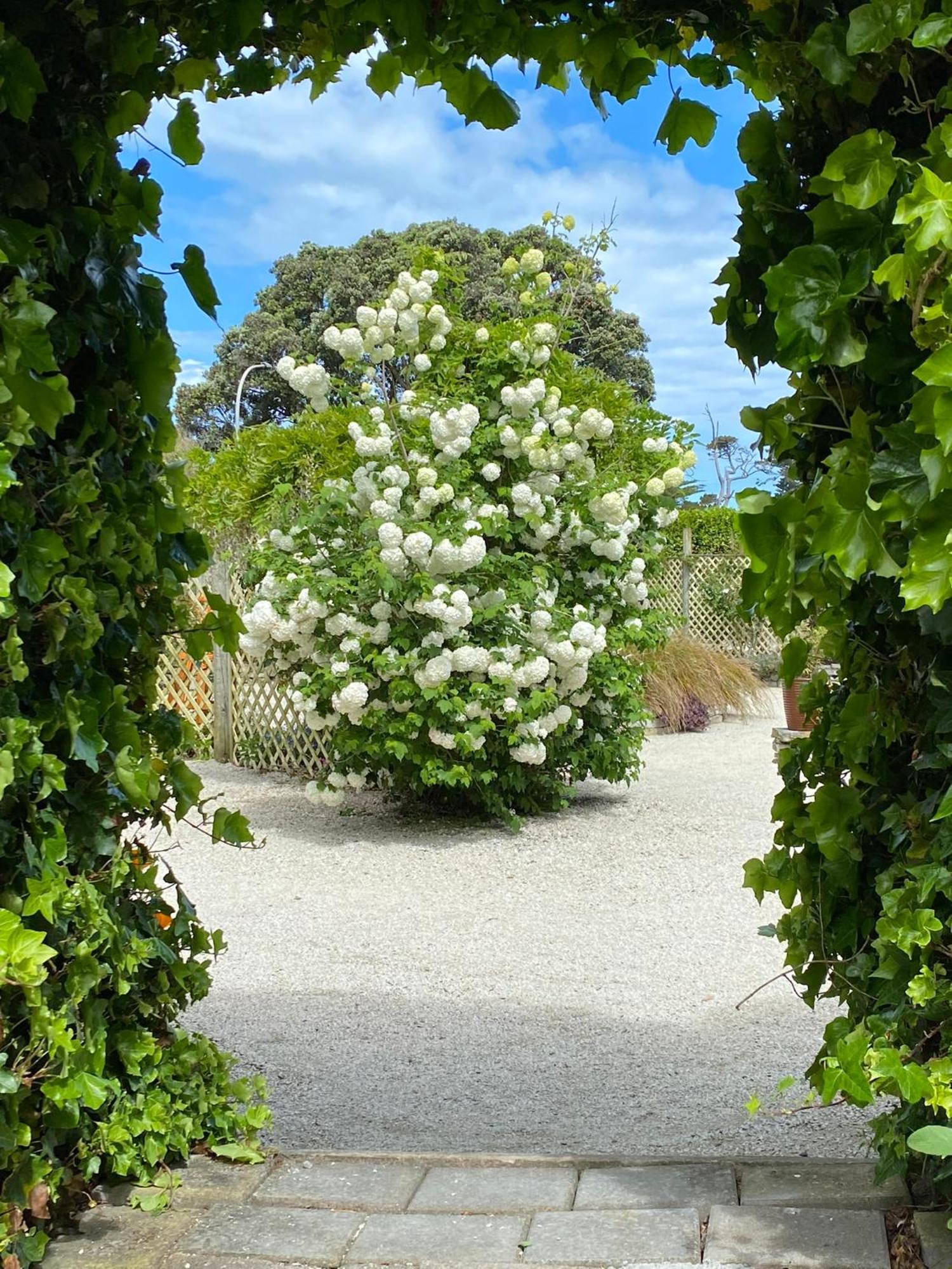 Glascroft Gardens - Bed & Breakfast Patea Экстерьер фото